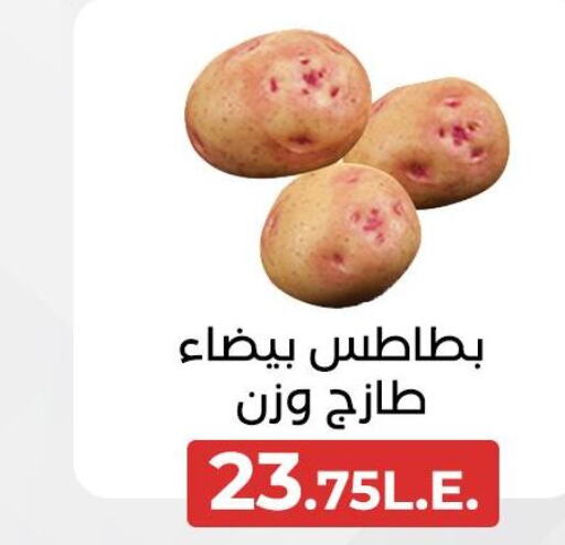  Potato  in عرفة ماركت in Egypt - القاهرة