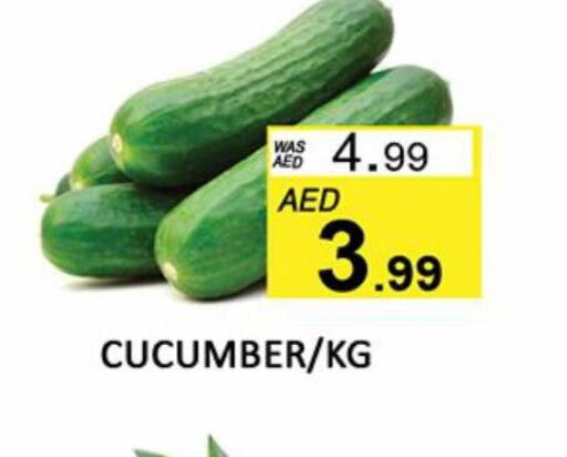  Cucumber  in المدينة in الإمارات العربية المتحدة , الامارات - الشارقة / عجمان