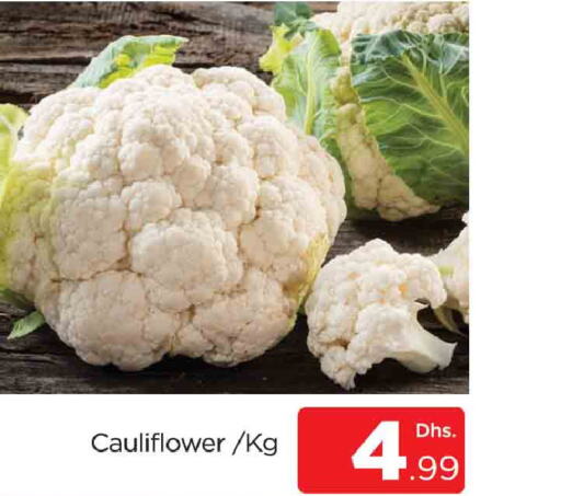  Cauliflower  in المدينة in الإمارات العربية المتحدة , الامارات - دبي