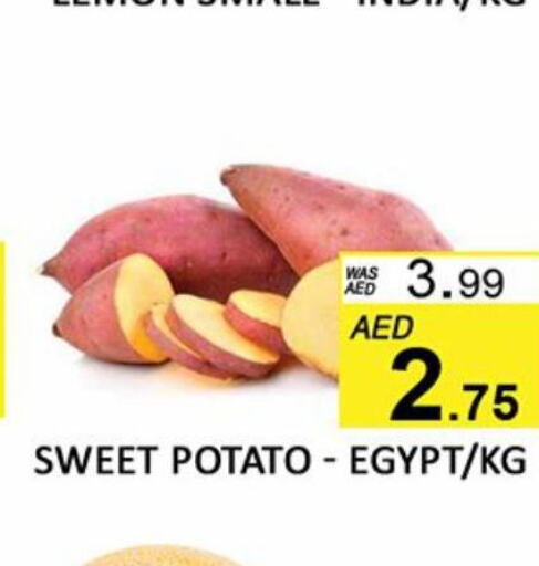  Sweet Potato  in المدينة in الإمارات العربية المتحدة , الامارات - الشارقة / عجمان