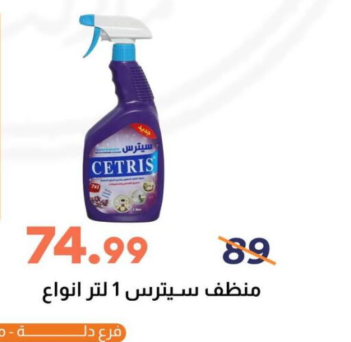  General Cleaner  in Ghallab Market in Egypt - Cairo