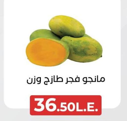 Mango Mangoes  in Arafa Market in Egypt - Cairo