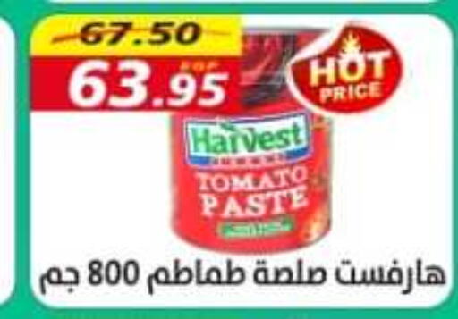  Tomato Paste  in Awlad Hassan Markets in Egypt - Cairo