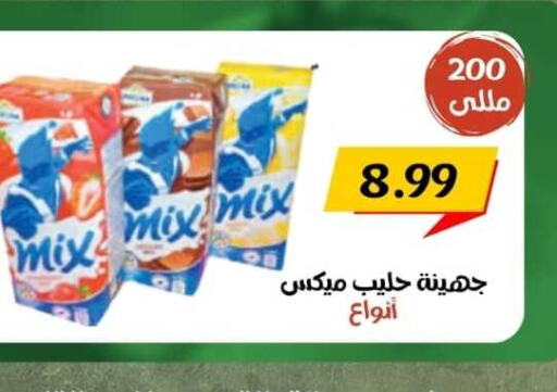  Flavoured Milk  in  Eastern Markets in Egypt - Cairo