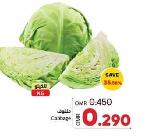  Cabbage  in Ramez  in Oman - Ibri