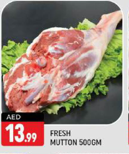  Mutton / Lamb  in Shaklan  in UAE - Dubai