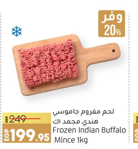  Buffalo  in Lulu Hypermarket  in Egypt - Cairo