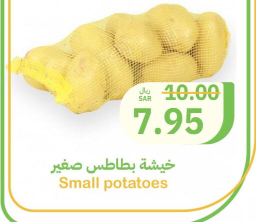  Potato  in أسواق قاطبة in مملكة العربية السعودية, السعودية, سعودية - بريدة