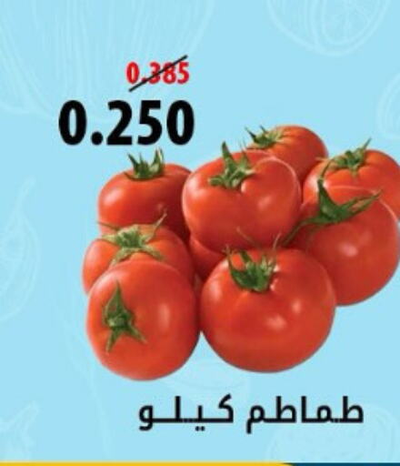  Tomato  in جمعية هدية التعاونية in الكويت - محافظة الأحمدي