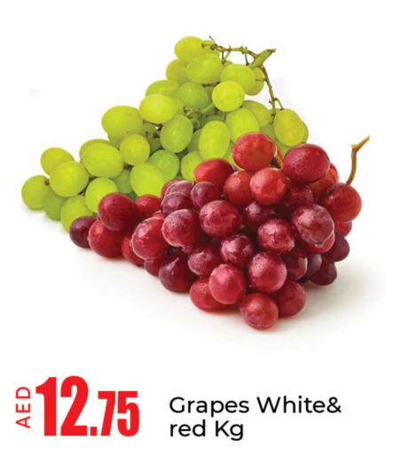  Grapes  in مانجو هايبرماركت in الإمارات العربية المتحدة , الامارات - دبي