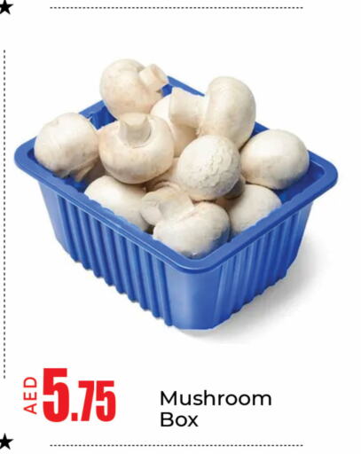  Mushroom  in مانجو هايبرماركت in الإمارات العربية المتحدة , الامارات - دبي