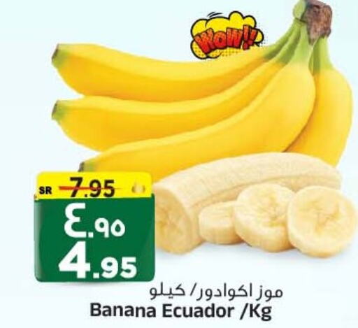  Banana  in Al Madina Hypermarket in KSA, Saudi Arabia, Saudi - Riyadh