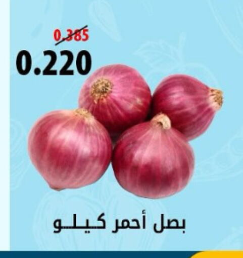  Onion  in جمعية هدية التعاونية in الكويت - محافظة الأحمدي