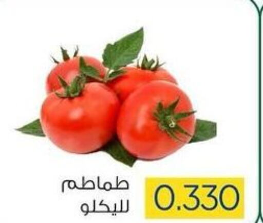  Tomato  in جمعية ضاحية صباح السالم التعاونية in الكويت - محافظة الأحمدي