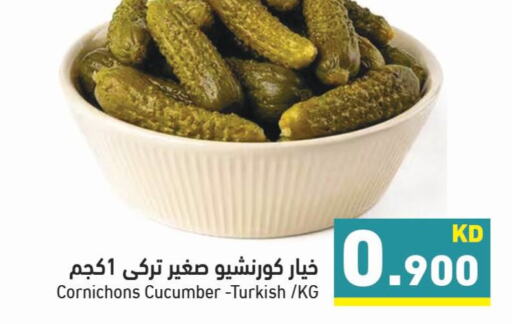  Cucumber  in  رامز in الكويت - محافظة الأحمدي