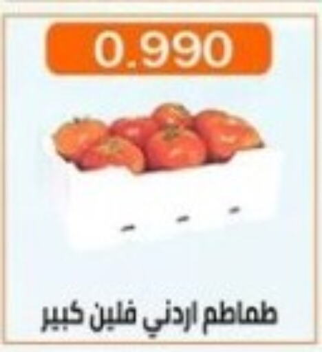  Tomato  in جمعية العارضية التعاونية in الكويت - محافظة الأحمدي