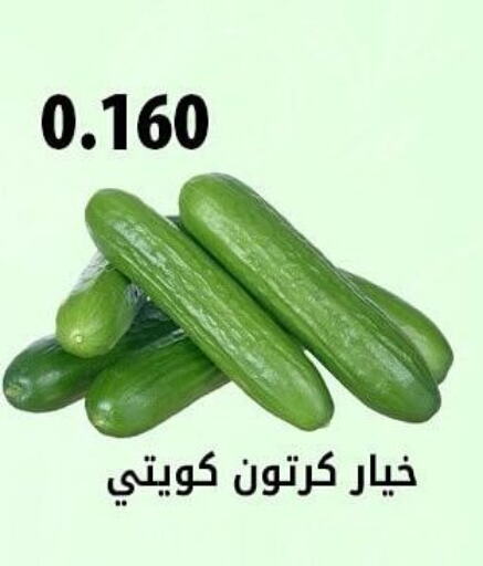  Cucumber  in جمعية هدية التعاونية in الكويت - محافظة الأحمدي