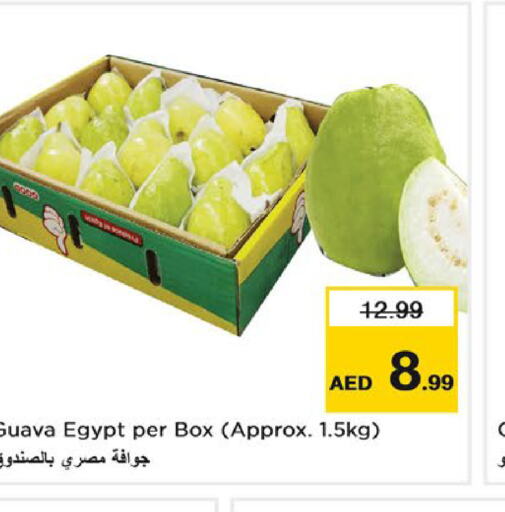  Guava  in لاست تشانس in الإمارات العربية المتحدة , الامارات - ٱلْفُجَيْرَة‎