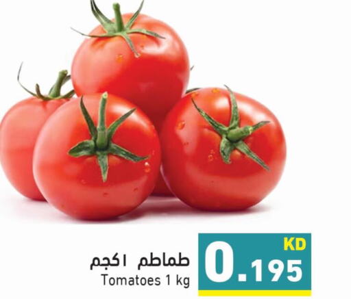  Tomato  in  رامز in الكويت - محافظة الأحمدي