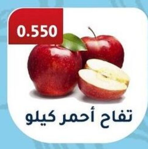  Apples  in Al Fahaheel Co - Op Society in Kuwait - Jahra Governorate