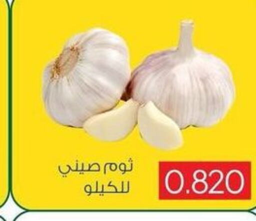  Garlic  in جمعية ضاحية صباح السالم التعاونية in الكويت - محافظة الأحمدي