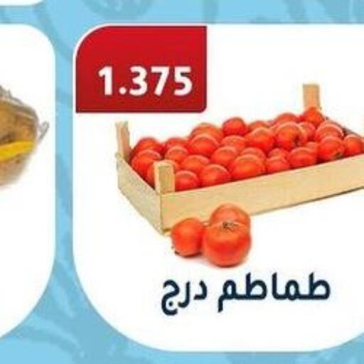  Tomato  in جمعية فحيحيل التعاونية in الكويت - محافظة الأحمدي