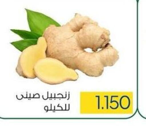  Ginger  in جمعية ضاحية صباح السالم التعاونية in الكويت - محافظة الأحمدي