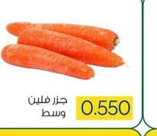  Carrot  in جمعية ضاحية صباح السالم التعاونية in الكويت - محافظة الأحمدي