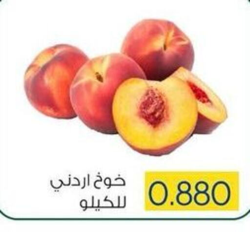  Peach  in جمعية ضاحية صباح السالم التعاونية in الكويت - محافظة الأحمدي