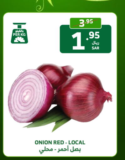 Onion