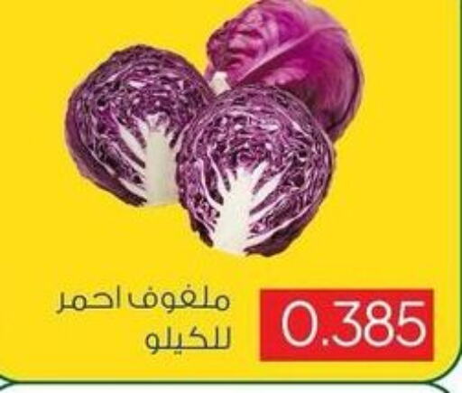  Cabbage  in جمعية ضاحية صباح السالم التعاونية in الكويت - محافظة الأحمدي