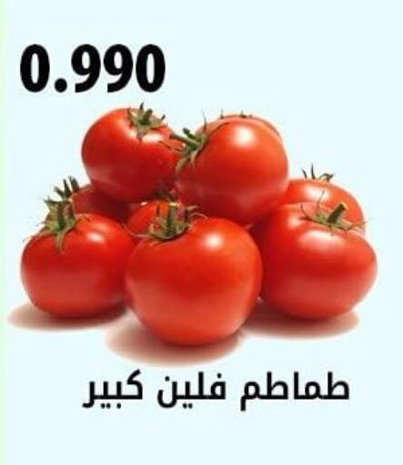  Tomato  in جمعية هدية التعاونية in الكويت - محافظة الأحمدي