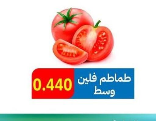  Tomato  in جمعية مدينة صباح الأحمد التعاونية in الكويت - محافظة الأحمدي