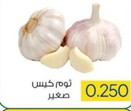  Garlic  in جمعية ضاحية صباح السالم التعاونية in الكويت - محافظة الأحمدي