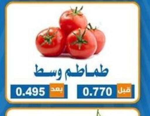  Tomato  in جمعية ضاحية الشهداء التعاونية in الكويت - محافظة الأحمدي