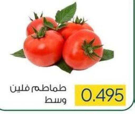  Tomato  in جمعية ضاحية صباح السالم التعاونية in الكويت - محافظة الأحمدي