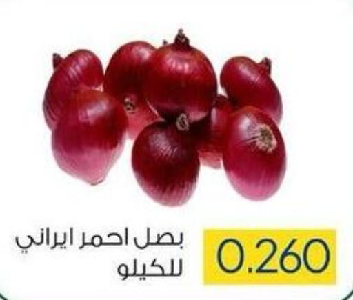  Onion  in جمعية ضاحية صباح السالم التعاونية in الكويت - محافظة الأحمدي