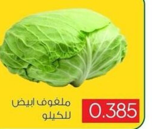  Cabbage  in جمعية ضاحية صباح السالم التعاونية in الكويت - محافظة الأحمدي