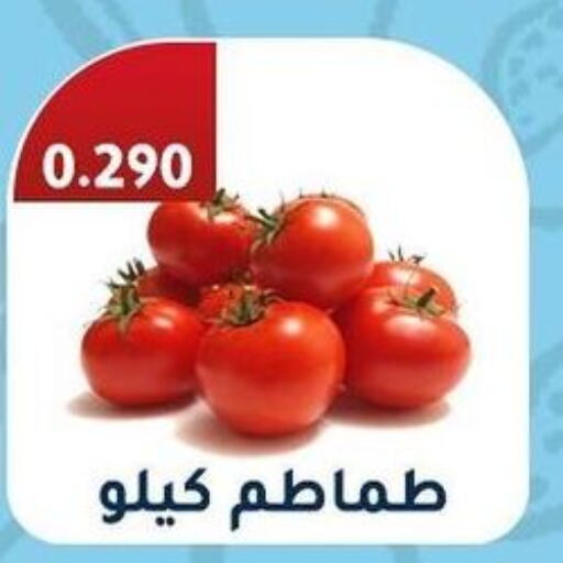  Tomato  in جمعية فحيحيل التعاونية in الكويت - محافظة الأحمدي