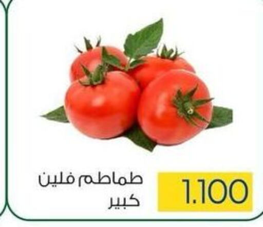  Tomato  in جمعية ضاحية صباح السالم التعاونية in الكويت - محافظة الأحمدي