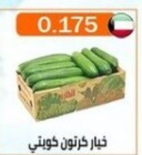  Cucumber  in جمعية العارضية التعاونية in الكويت - محافظة الأحمدي