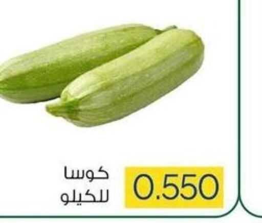  Zucchini  in جمعية ضاحية صباح السالم التعاونية in الكويت - محافظة الأحمدي