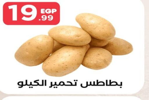  Potato  in مارت فيل in Egypt - القاهرة