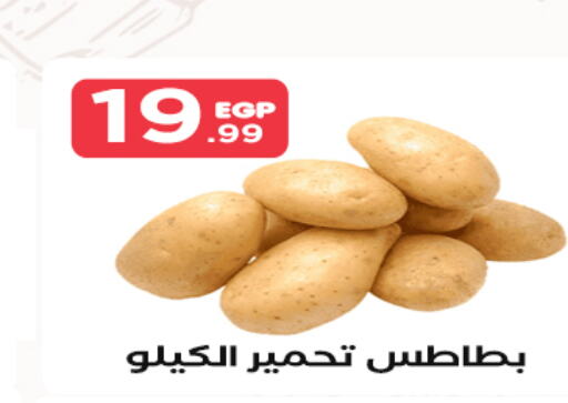  Potato  in المحلاوي ستورز in Egypt - القاهرة