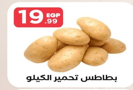  Potato  in المحلاوي ستورز in Egypt - القاهرة