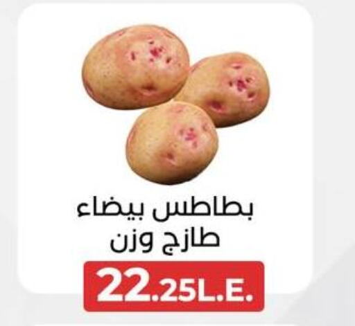  Potato  in عرفة ماركت in Egypt - القاهرة