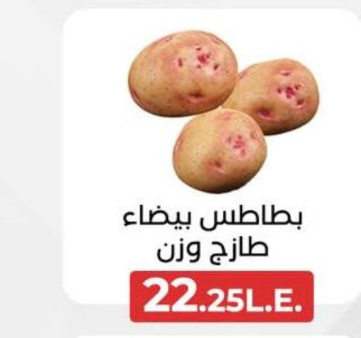  Potato  in عرفة ماركت in Egypt - القاهرة