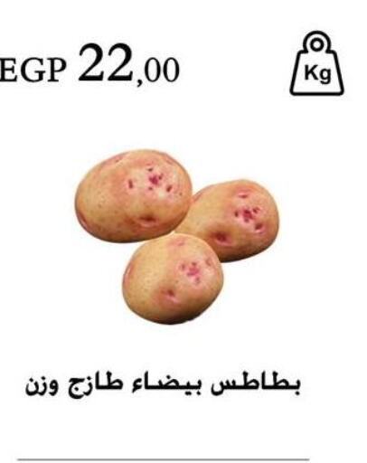  Potato  in عرفة ماركت in Egypt - القاهرة