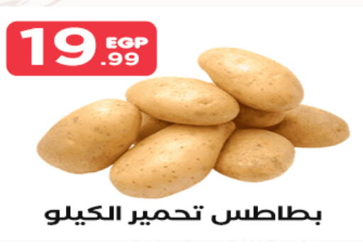  Potato  in مارت فيل in Egypt - القاهرة