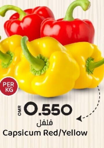  Chilli / Capsicum  in KM Trading  in Oman - Salalah